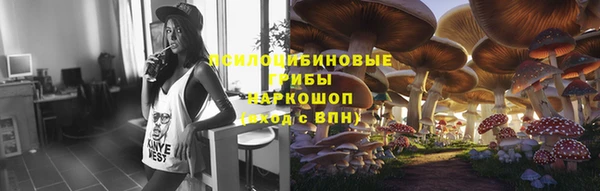 прущий лед Арсеньев