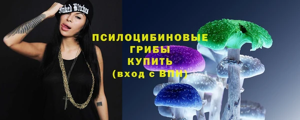гидра Аркадак