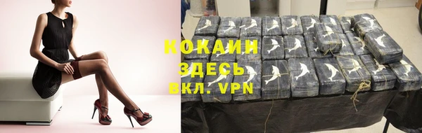 гидра Аркадак