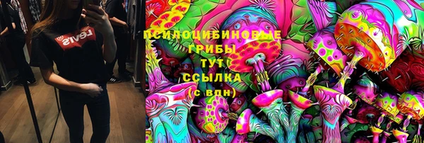 прущий лед Арсеньев