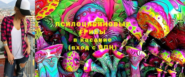 гидра Аркадак