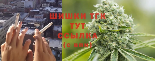 прущий лед Арсеньев