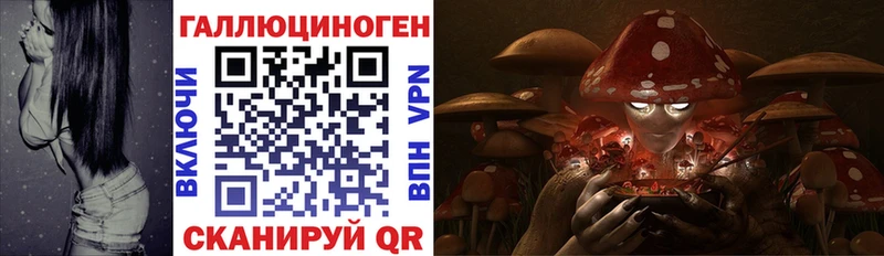 shop как зайти  Мытищи  Псилоцибиновые грибы прущие грибы  наркошоп 