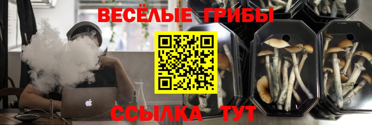 Псилоцибиновые грибы ЛСД  Псилоцибиновые грибы Psilocybine cubensis  Мытищи  Вход с VPN 